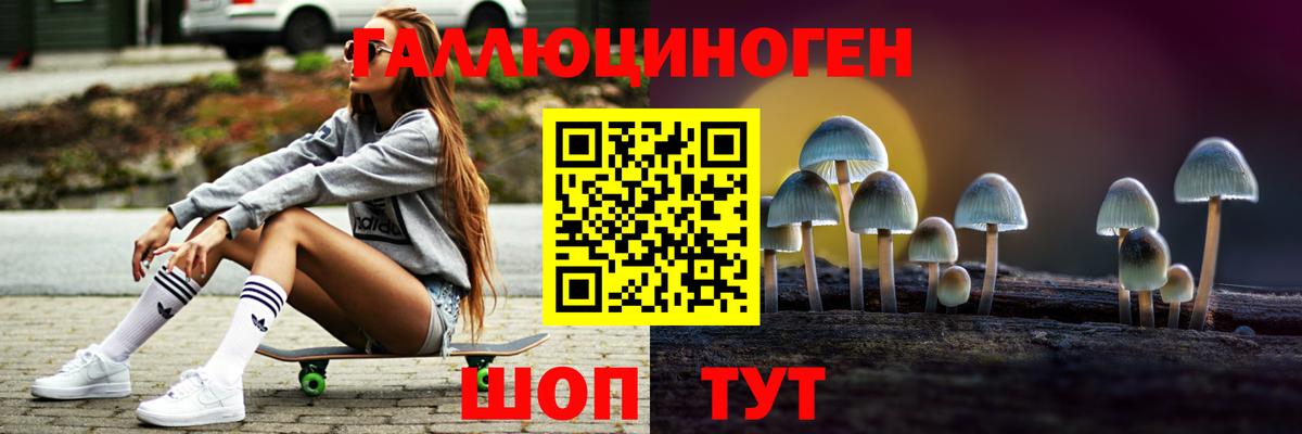 Мичуринск  где купить наркоту  Вход с VPN  Псилоцибиновые грибы Psilocybe 
